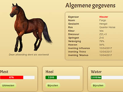 zak Negende Tijdens ~ Equino - Het gratis online text-based paardenspel.
